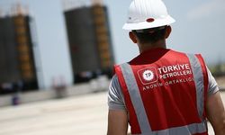 TPAO Karadeniz'deki Arama Ruhsatı İçin Süre Uzatımı Başvurusunda Bulundu