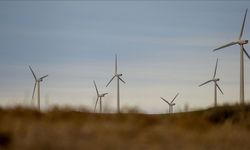 ABD'de Rüzgar Enerjisi Projelerini Engelleyen Kararnameyii Feshetti