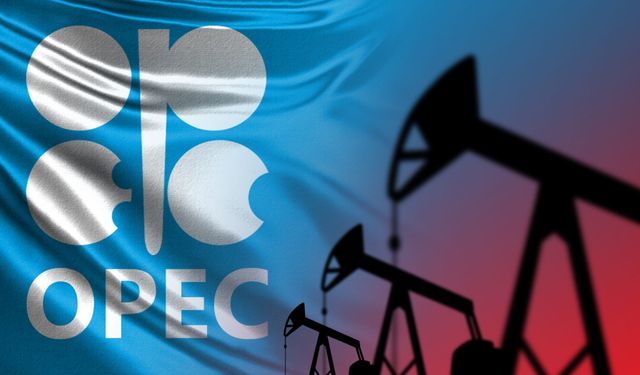 OPEC: Küresel Enerji Talebi 2050'ye Kadar Yüzde 24 Artacak