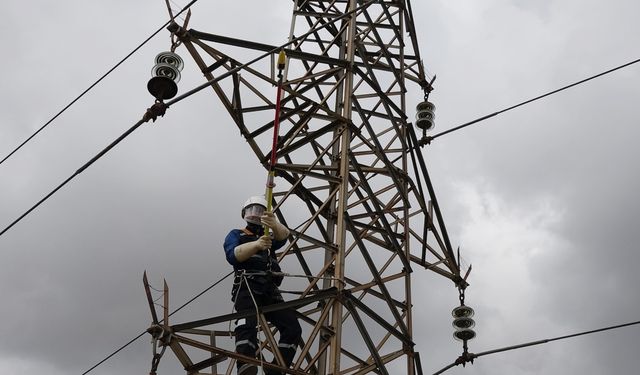 Uzman Eleman Eksikliği Enerji Sektöründe Yapay Zeka Uygulamalarını Yavaşlatıyor