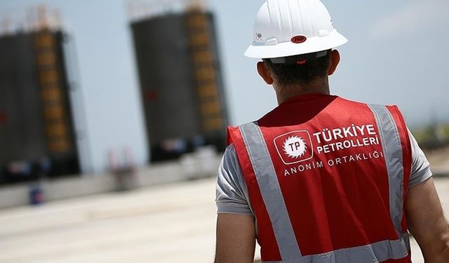 TPAO Karadeniz'deki Arama Ruhsatı İçin Süre Uzatımı Başvurusunda Bulundu
