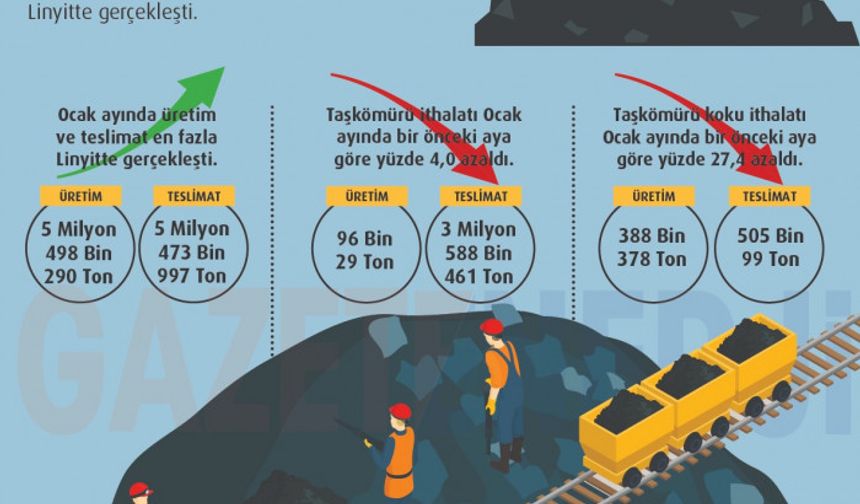 Ocak 2021 Katı Yakıt Verileri