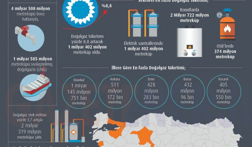 Ocak 2021 Doğalgaz Piyasası Verileri